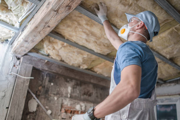Best Energy Efficiency Insulation in Magnolia, MS
