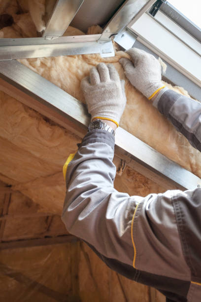 Types of Insulation We Offer in Magnolia, MS