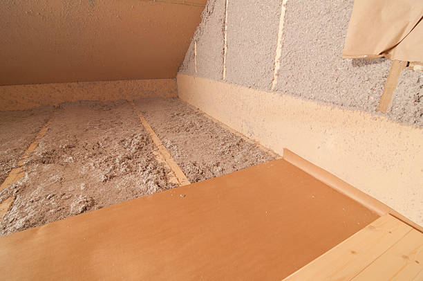 Best Specialized Insulation Services in Magnolia, MS