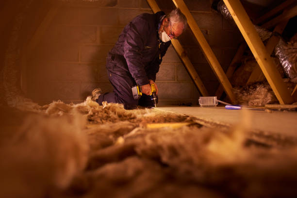 Best Residential Insulation in Magnolia, MS